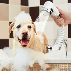 Best Dog Shower Heads