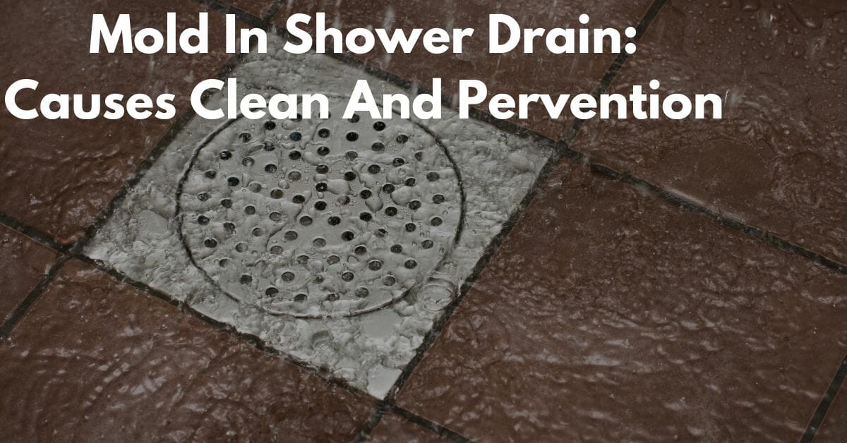 Mold in Shower Drains Causes, Clean, and Prevention Shower Sight